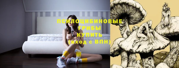 амфетамин Алексеевка