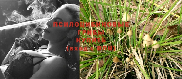 амфетамин Алексеевка
