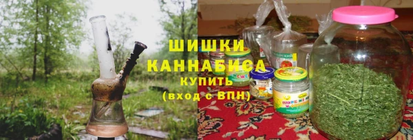 PSILOCYBIN Алзамай