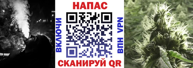 сколько стоит  Опочка  shop как зайти  Шишки марихуана сатива 